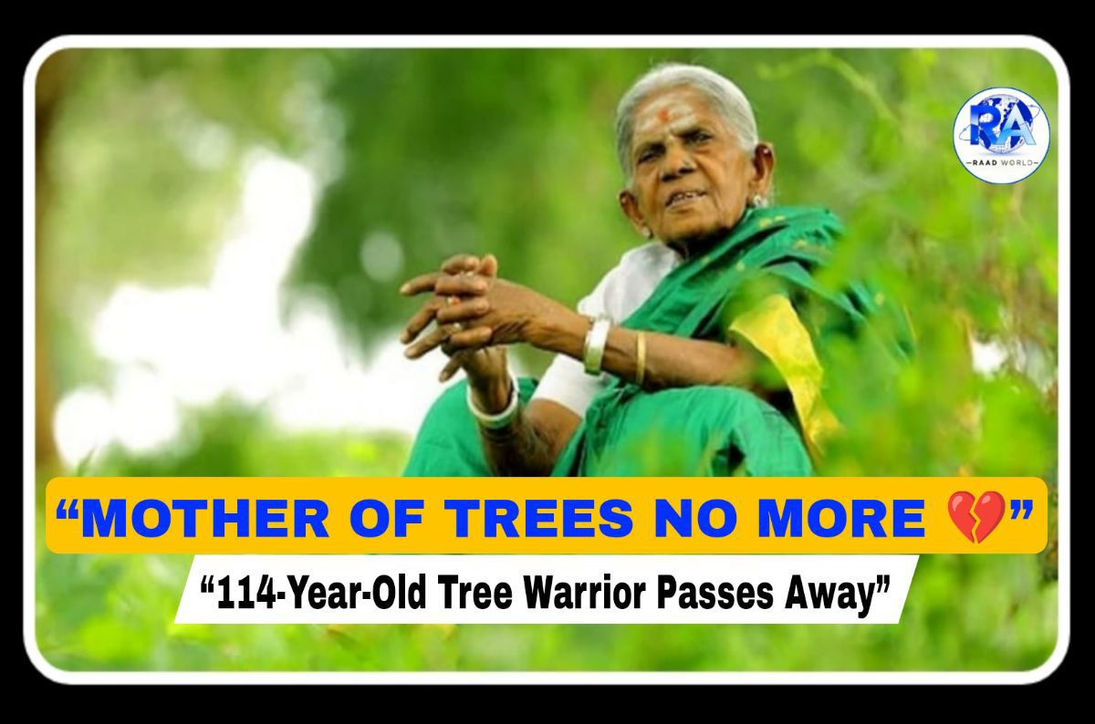 Saalumarada Thimmakka Passes Away at 114 The Legacy of India’s Mother of Trees