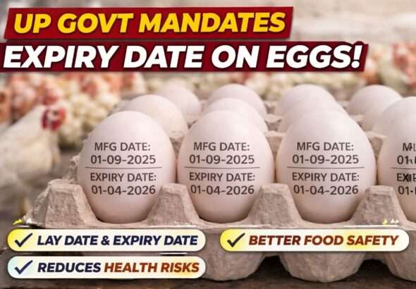 UP Government mandates expiry date on eggs showing manufacturing date and expiry date printed on egg shells for food safety
