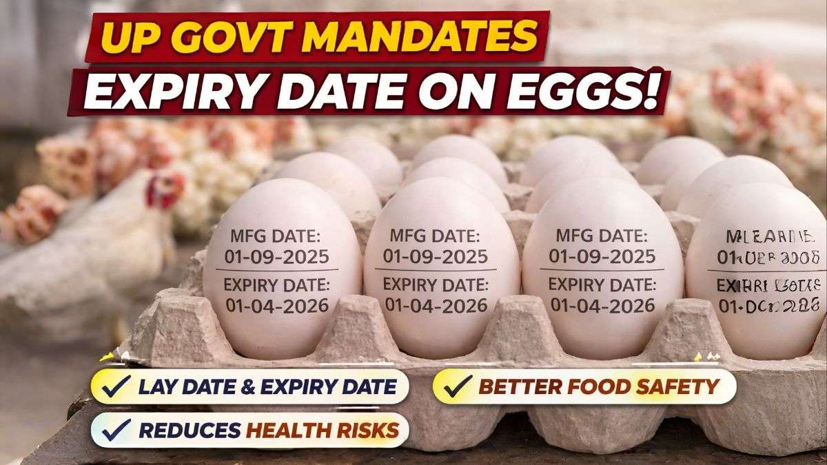 UP Government mandates expiry date on eggs showing manufacturing date and expiry date printed on egg shells for food safety