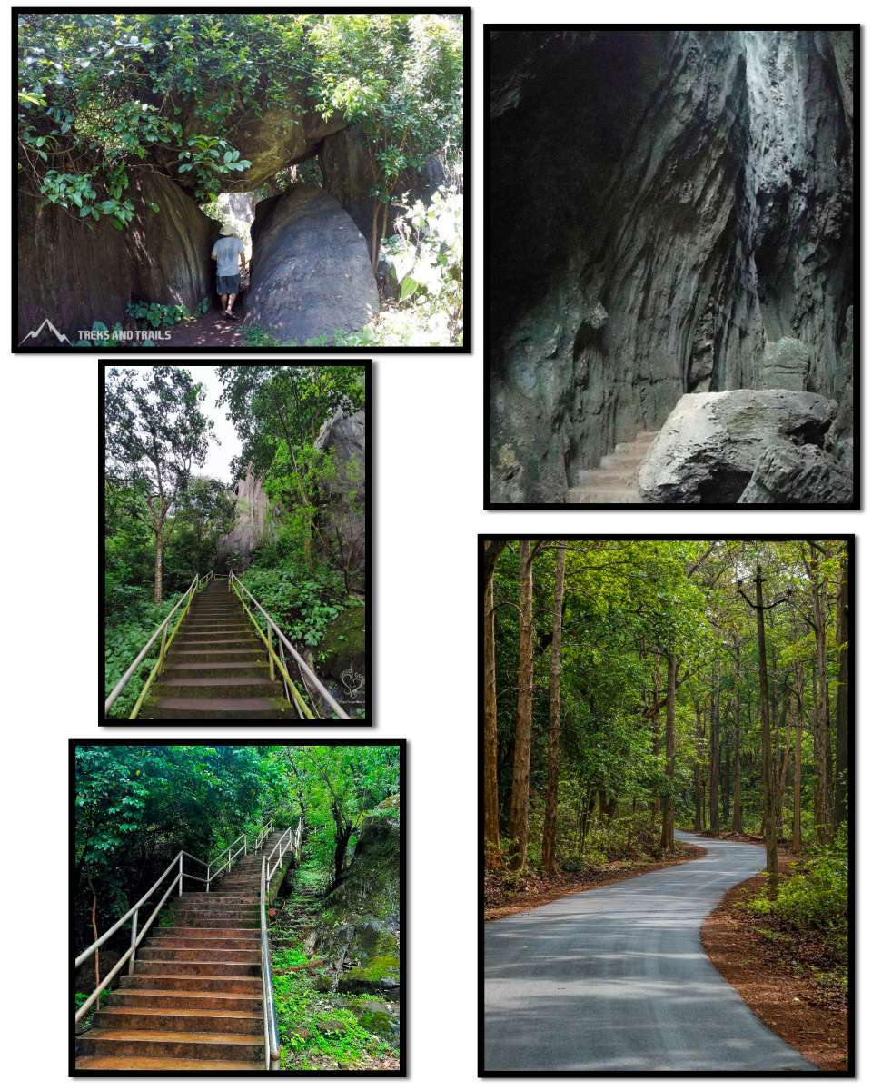 Forest trekking path to Yana caves in Western Ghats Karnataka
