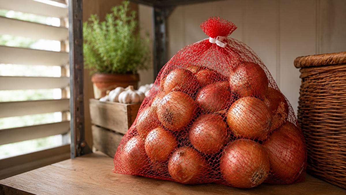 Proper storage of onions in a cool, dry, well-ventilated place to help reduce black mold growth.